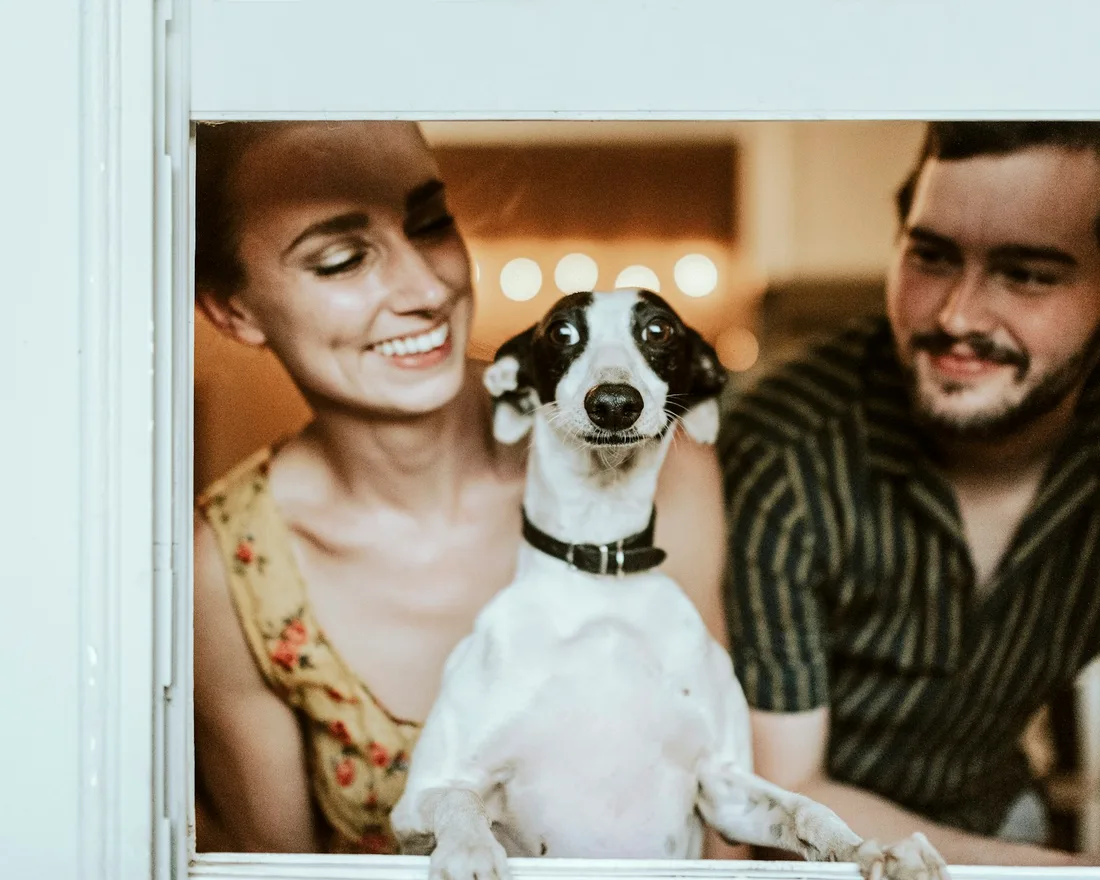 A família AuMigo
